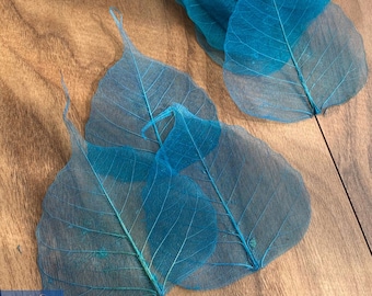 Dyed Bodhi Skeleton Leaves, Natural Ficus, DIY Craft Projects