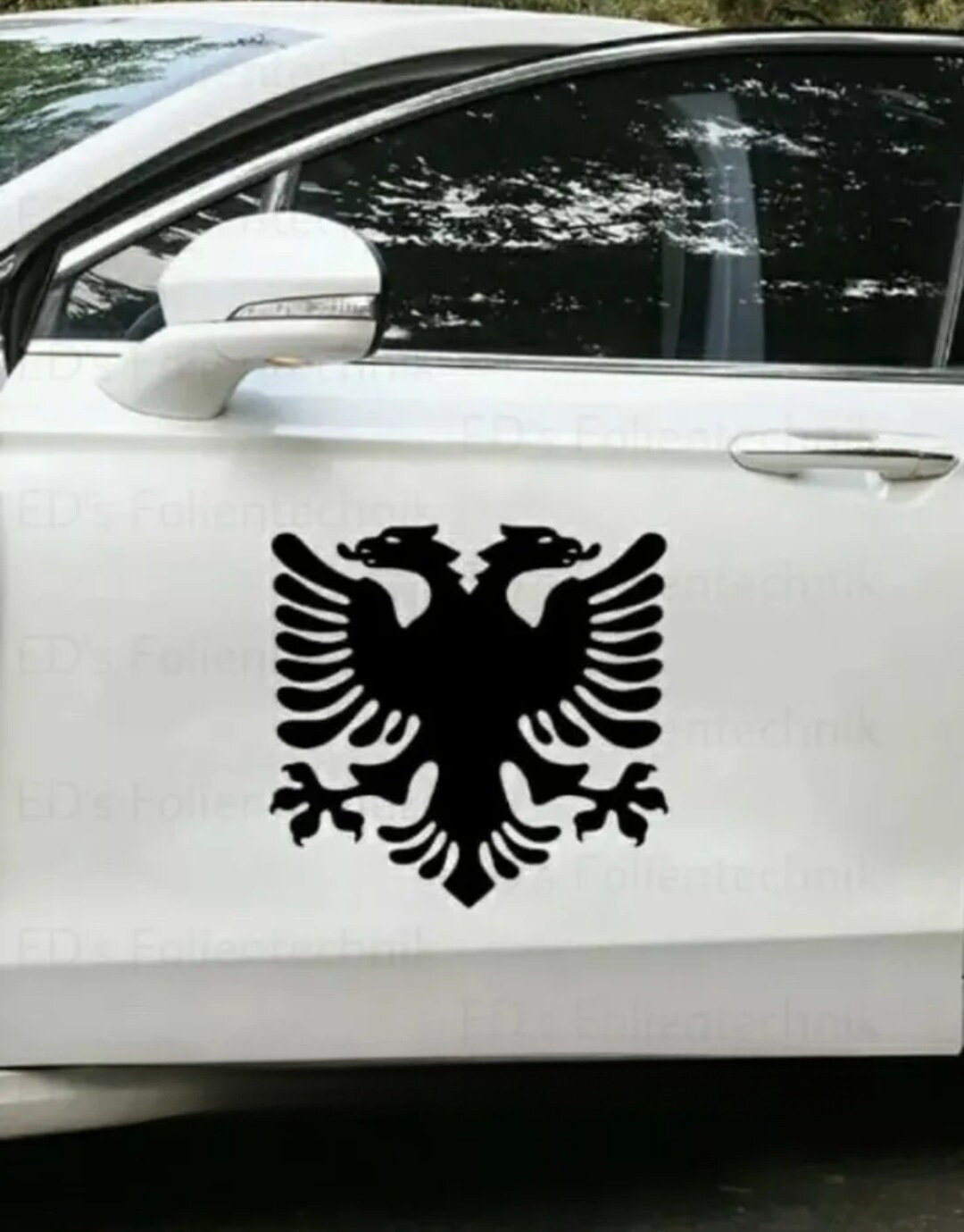Albanian Eagle Car Sticker Decal Racing Coat of Arms Albania Etsy