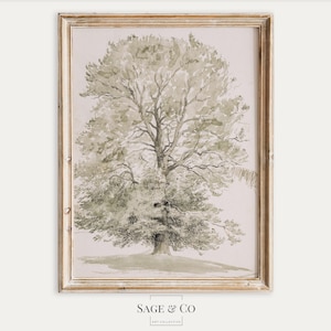 Vintage europäische rustikale neutrale Baum Skizze Aquarellmalerei | DIGITALER DOWNLOAD | Sofortige DRUCKBARE Wandkunst | Antik Moody Kunstdruck-06