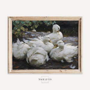 May include: A painting depicting a group of white ducks gathered together in a pond. The ducks are huddled close, their heads turned towards one another. The painting is executed in a realistic style, with soft brushstrokes and muted tones.