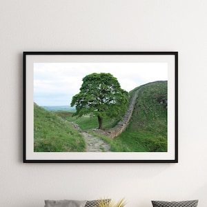 Sycamore Gap, Northumberland, England, Hadrian&#39;s Wall, United Kingdom, Travel Photography, Fine Art Print, Wall Decor