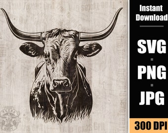 Longhorn Head Graphic: Western Bull Decor (SVG, PNG, JPG)