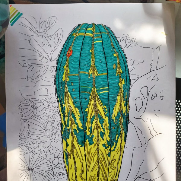 Cactus Hand Drawn Coloring Page *Digital Download