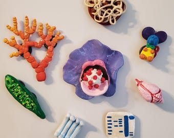 Science-themed refrigerator magnets