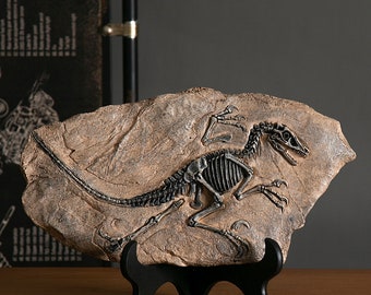 Handmade Dinosaur Velociraptor Fossil Resin Craft Decoration Retro Animal Statue Miniature Indoor Living Room Decoration Souvenir Home Gift