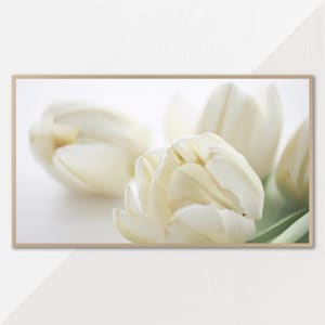 Białe tulipany, grafika telewizora Samsung Frame, dekoracja wiosenna, neutralna grafika telewizora LG, wygenerowane przez sztuczną inteligencję, telewizor fotograficzny z kwiatami kwiatów, pobieranie cyfrowe