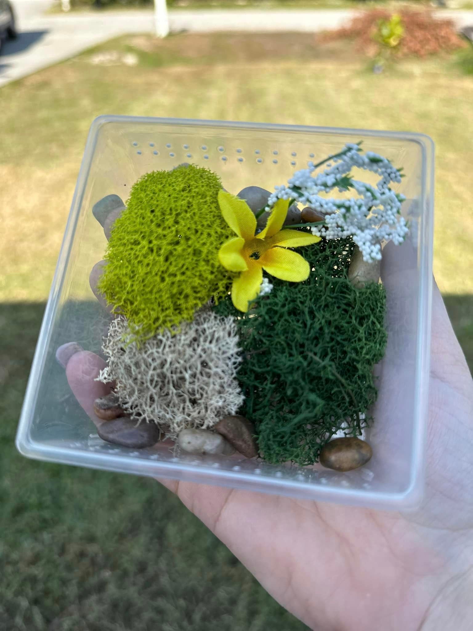 Mini boîtier à ressort