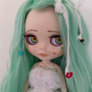The Blythe doll, The OOAK doll, an artistic doll, Blythe.