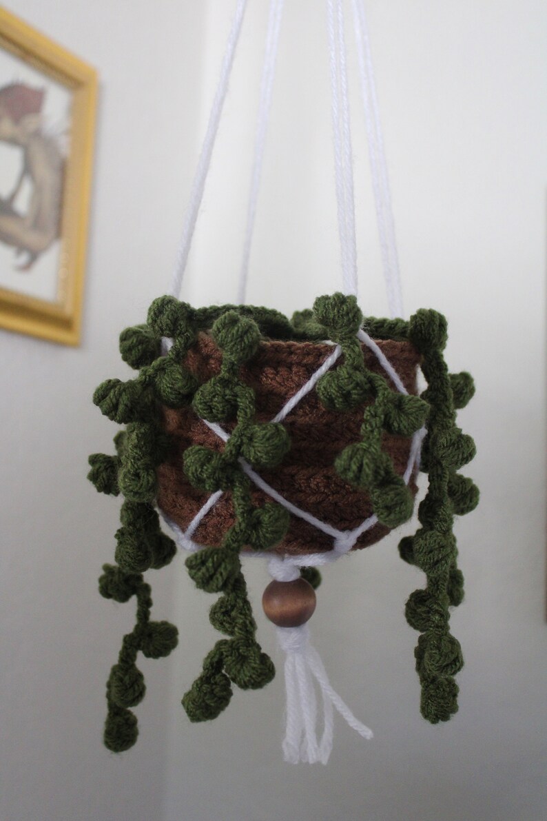 Crochet Hanging Plant Etsy