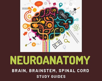 Neuroanatomy Study Guides