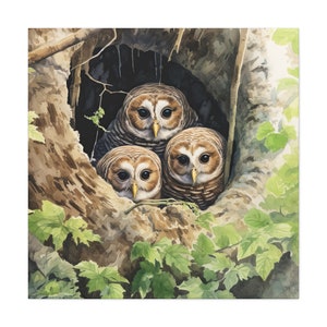 Barred Owl Wall Art Canvas, Owl Wall Decor, Owl Home Decor, Owl Art Print, Owl Wall Hanging, Owl Gifts for Women, Man Cave Decor