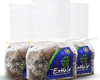 May include: Three white plastic bags containing brown mushroom grow kits with blue and green labels that read "The Exhale Homegrown Co."