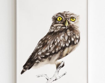 Chouette | Hibou. Impression fineart. Oiseaux giclées. Décoration d'intérieur. Feuille. Illustration. Cadeau d'art naturel