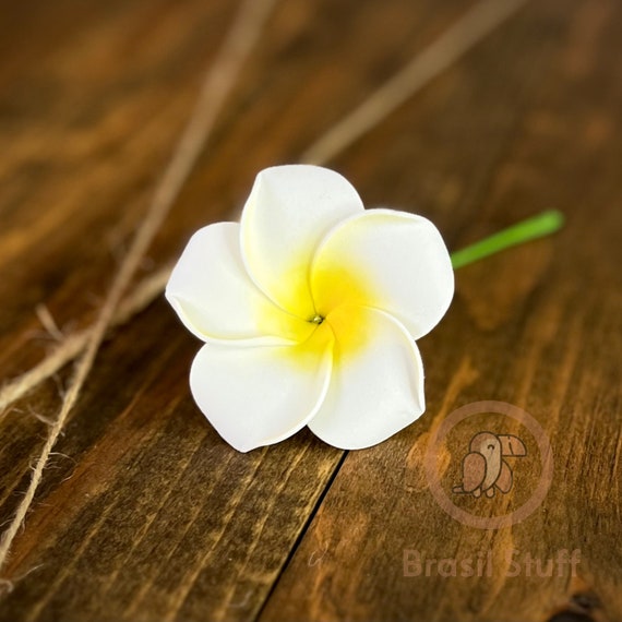 Hawaiian White Plumeria, Artificial Foam Flower, Ear Flower With