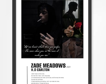 Zade Meadows por H.D. Cartel de Carlton - Descarga digital, Cartel, Arte de la pared, Libros, BookTok, romance oscuro, Cartel de Haunting Adeline, Arte del libro