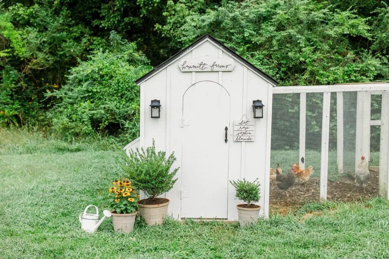5x7 Chicken Coop DIY, the Garden Coop, Chicken Coop Plan, DIY Walkin Chicken Coop and Run Plans