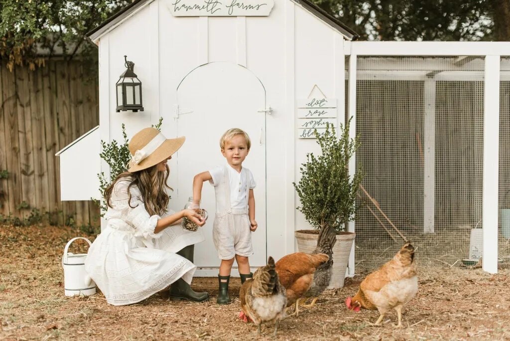 5x7 Chicken Coop DIY, the Garden Coop, Chicken Coop Plan, DIY Walkin Chicken Coop and Run Plans