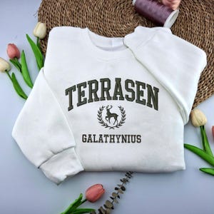 Terrasen Embroidered Sweatshirt, Throne of Glass & ACOTAR Inspired Sweater, Aelin Galathynius Shirt, Rhysand Fan Gift, SJM Bookish Merch