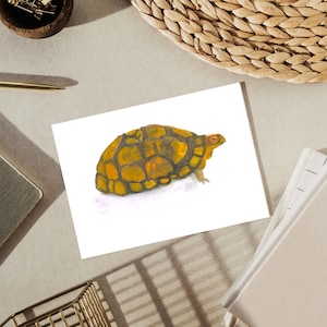 Entzückendes Aquarell von der Amerikanischen Wüstenschildkröte auf 13 x 15 cm Karte