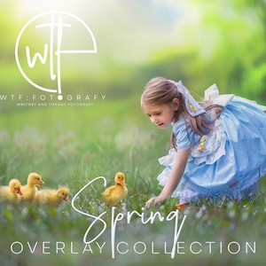 WTFotografy - The SPRING OVERLAY Collection - 82 Items! 39 Animal, 16 Floral and  25 Environmental overlays. Plus, 2 bonus Backgrounds!
