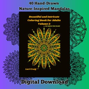 Beautiful and Intricate Coloring Book For Adults Volume 2 Digital Download