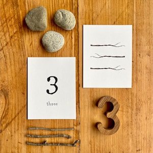Juego de matemáticas de la naturaleza imprimible / Actividad de conteo / Juego de coincidencia de números / Aritmética / Charlotte Mason Montessori PreK Kindergarten Homeschool