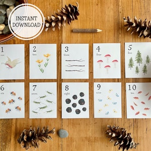 Cartes numériques Nature 1-10 imprimables | Compter les cartes | Montessori Waldorf Charlotte Mason Préscolaire Maternelle École à la maison