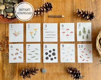 Nature Number Cards 1-10 PRINTABLE | Counting cards | Montessori Waldorf Charlotte Mason Preschool Kindergarten Homeschool