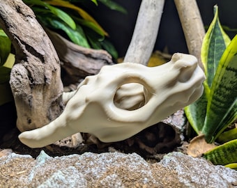 3D Printed Dragon Skull – Fantasy Decor or Reptile Hide