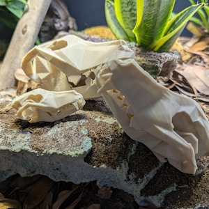 3D Printed Wolf Skull – Animal Skull Decor for Terrariums or Shelves