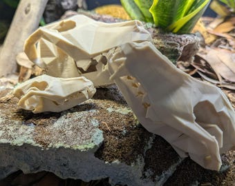 3D Printed Wolf Skull – Animal Skull Decor for Terrariums or Shelves