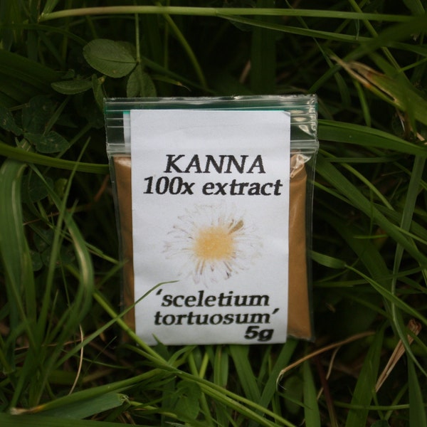 Kanna 100x extract (sceletium tortuosum)