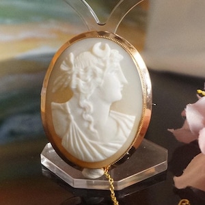 May include: Oval cameo pendant with a profile of a woman in white relief, set in a gold-tone frame. The pendant is displayed on a clear stand, with a gold chain and clasp. A pink flower with green leaves is in the background.
