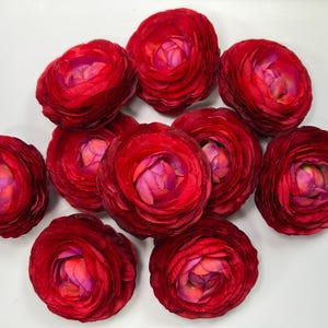 Rode Ranonkel Bloemhoofdjes Bruiloft Heldere Rode Bloemen Kunstmatige DIY Craft Supplies Rununculus Hoofdjes Rode Faux Decor Zijden Bloemen Scarlet