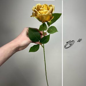 Op de afbeelding: Een enkele gouden roos met groene bladeren op een stengel, met een diameter van 8,9 cm en een lengte van 48,3 cm.