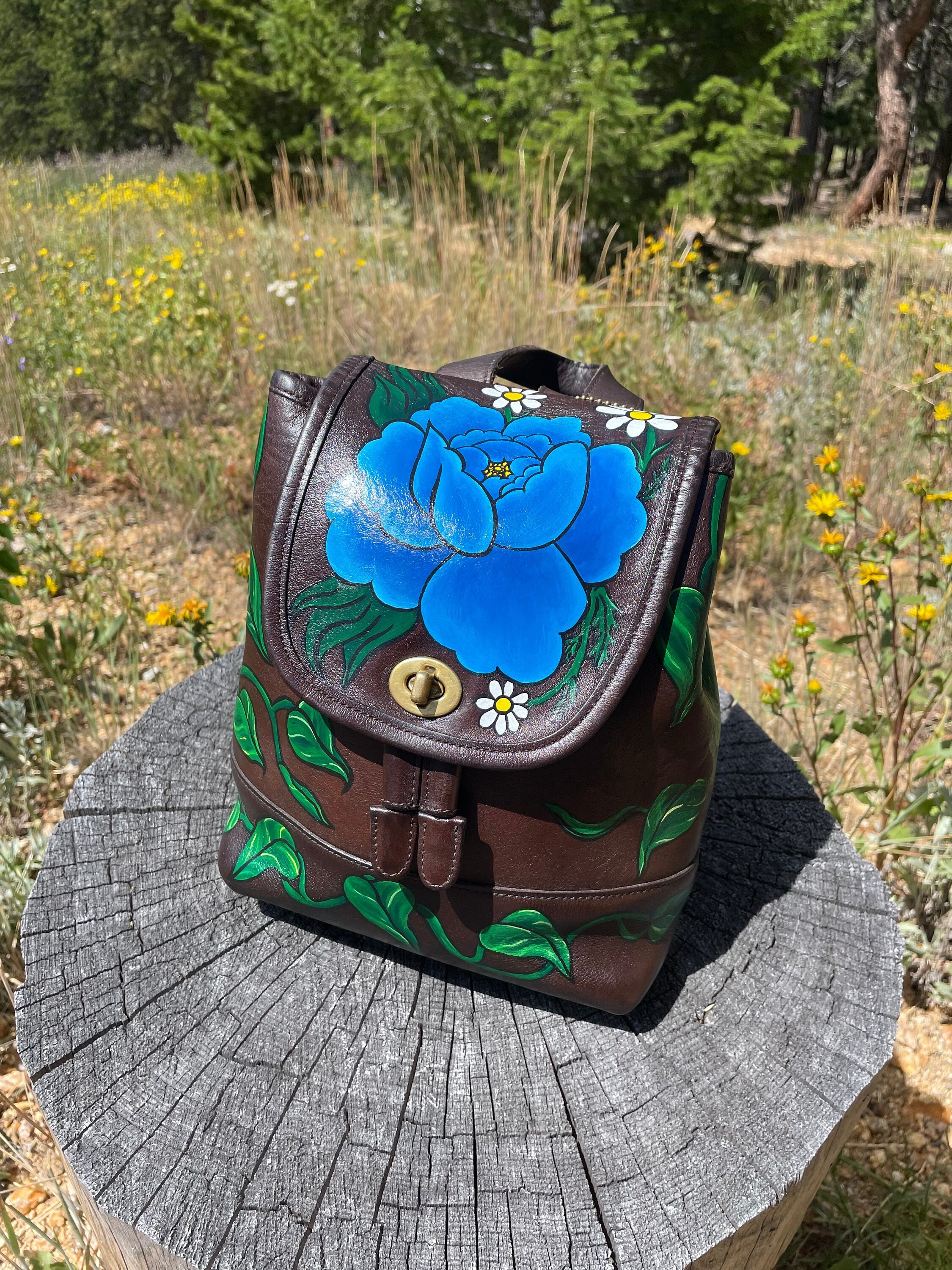 Authentic coach deals backpack