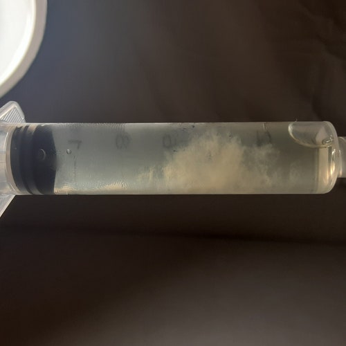 GOLDEN CHANTERELLE es3 Mushroom Liquid Culture Syringe Etsy