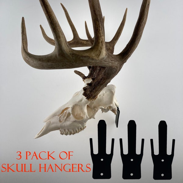 Deer Skull Hanger Euro Mount Bracket Bear Antelope Grakksaw