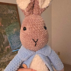 Handmade Peter Rabbit crochet stuffed animal plushie collectable, Storybook Included
