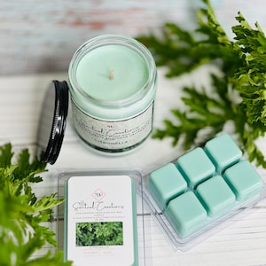 Citronella Soy Candle 7 Oz - Aromatherapy Vegan Candle