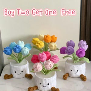 May include: Crocheted tulip flower arrangements in white pots with smiling faces and brown feet. The tulips are in various colors: blue, yellow, orange, pink, and purple. Text reads "Buy Two Get One Free".