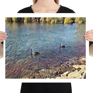 Two Black Swans Artwork, Swan Art Print, Swan Lake Poster, Swans Illustration, Lake Painting, Cottagecore Wall Decor, Swans Swimming