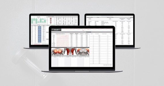 Advanced Workout Tracker | Google Sheets | Gym Progress Tracker | Diet Tracker | Macro Calculator |  Training Tracker | Gym Planner