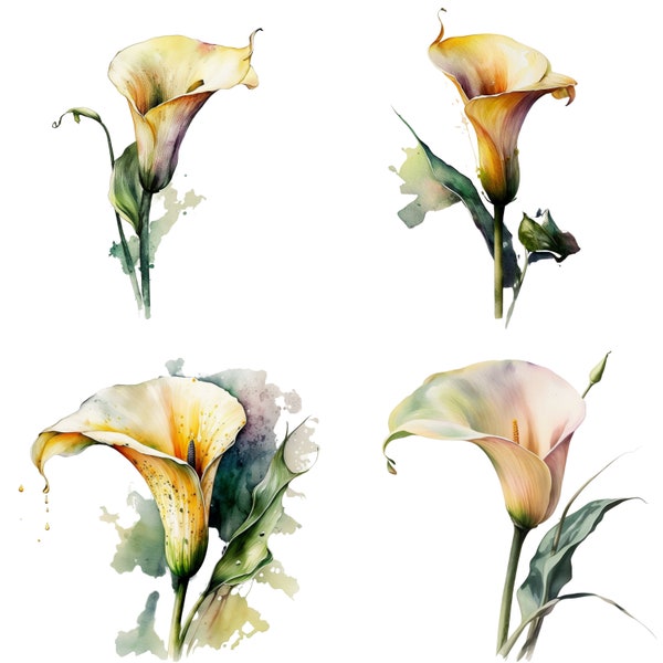 Watercolor Calla lily, Calla lily Clipart, Watercolor Flower Print, Wedding Flowers Sublimation,Flower PNG