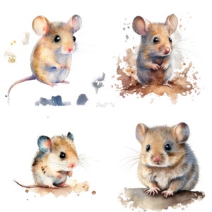 Cute Baby Mouse, Watercolor Cute Baby Mouse, Cute Baby Mouse Clipart, Illustration, Cute Baby Mouse PNG