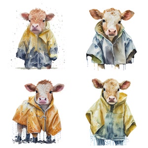 Cows in Raincoats Clipart PNG, Set of 4 PNGs, Commercial Use Clipart, POD Allowed, Watercolor Baby Cow Clipart,Rainy Day Clipart,Sublimation