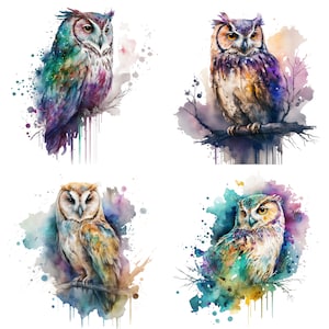 Owl Watercolor Clipart, Owl Watercolor, Owl Clipart PNG, Printable Digital Download, Sublimation, Owl clipart