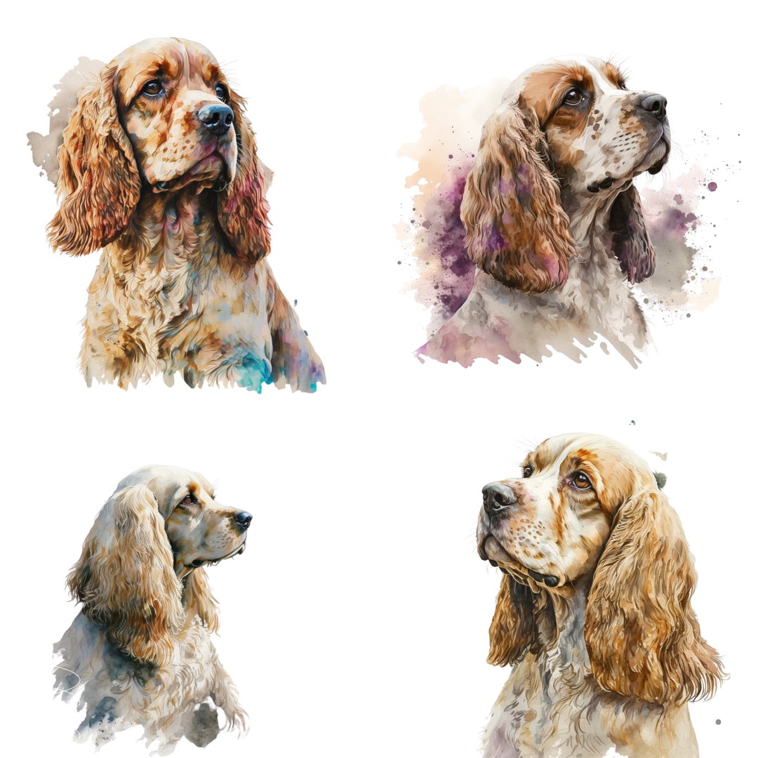 American Cocker Spaniel Art Print, American Cocker Spaniel Print