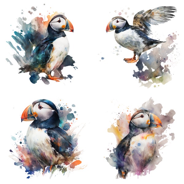 Puffin Watercolor Clipart, Puffin Watercolor, Puffin Clipart PNG, Printable Digital Download, Sublimation, Puffin clipart