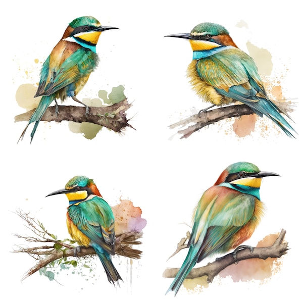 European Bee-eater Watercolor Clipart,European Bee-eater Watercolor, Bee-eater Clipart PNG, Printable Digital Download,Bee-eater clipart